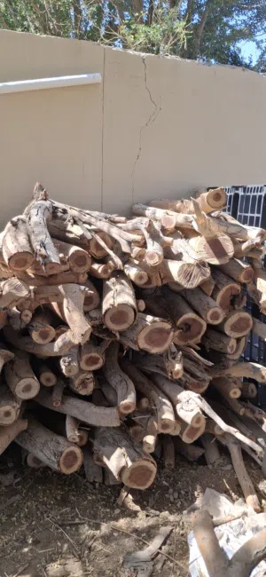 تريب حطب عمارتين متروس فل لين القبه