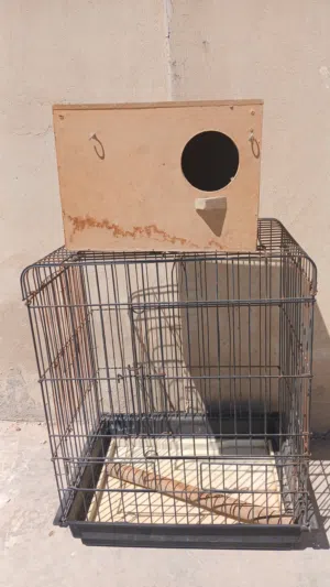 قفص ببغاء مع كوخ تفريخ