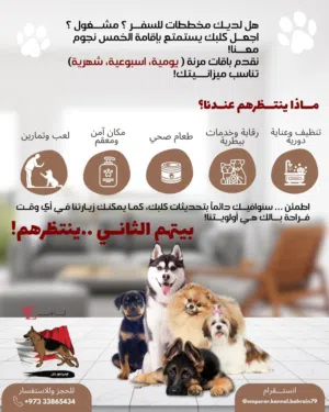 Dog boarding available متوفر فندقه للكلاب