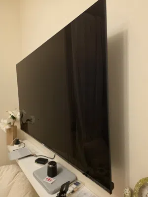 " 65 Class Pro TV