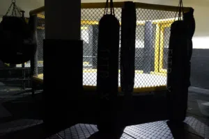 إعلان بيع حلبة فنون قتالية فخم سعر خيالي حجم 4 في 4 متر MMA UFC octagon cage