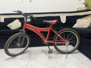 Haipeng HAP20 Kids Bike - Red/Black - Excellent Condition