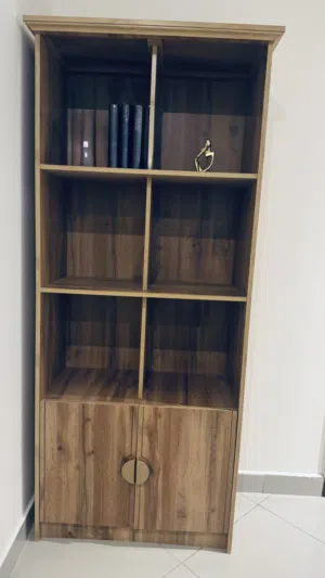 Wooden Bookshelf with Storage Cabinet