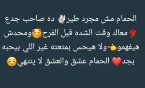 منير محمد الزرقاني 