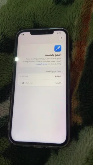 Apple iPhone 12 Pro Max 256 GB in Madaba