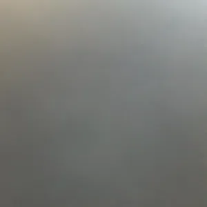 ...... .... 