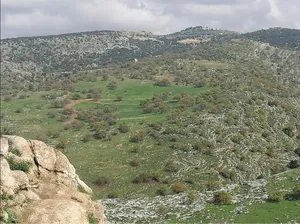 ‏مشاريع استثمارية ‏.‏ جديد‏0