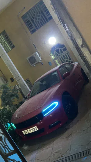 السلام عليكم جاجر sxt كفالة عامه لون مميز حمره وارد امريكي الضرر فقط دعامية اماميه