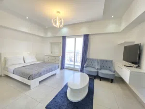 Luxurious & Classy Studio Flat  With Internet & Balcony