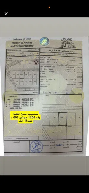 راضي سكنيه