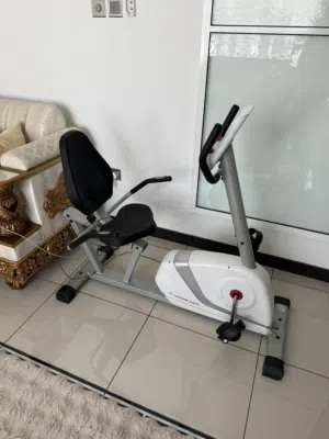 Reclined seat bike