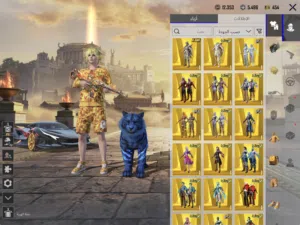 Pubg Accounts and Characters for Sale in Ajman