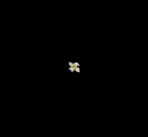 معاذ القرني