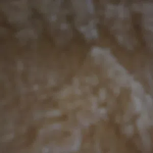 محمد 