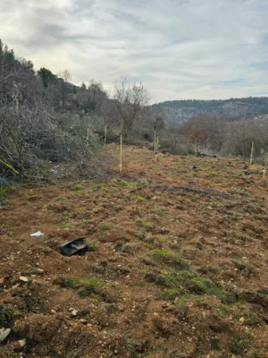 Mixed Use Land for Sale in Bethlehem AlWalaja