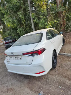 كورلا خليجي 2022 بغداد سعر مناسب