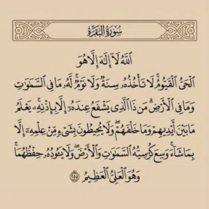 للبيع بسعر الجمله 