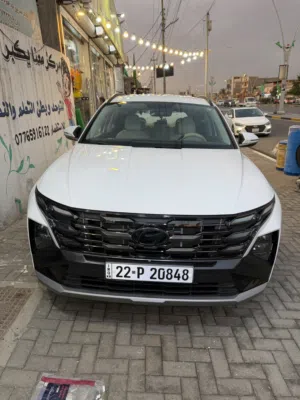 توستان بعده بالنايلون