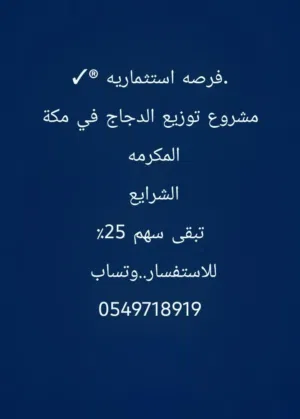 فرصه استثماريه