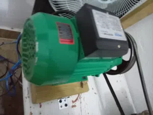 بومبه اميه