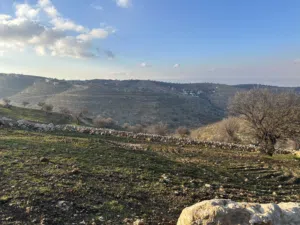 Farm Land for Sale in Zarqa Al-Kamsha