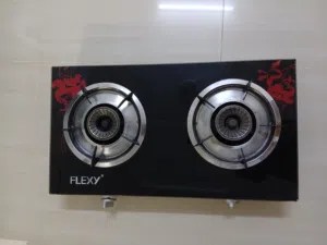 Flexy gas stove