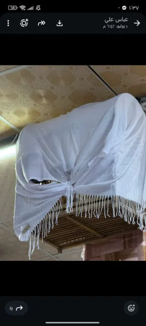 بلبل فحل بصراوي خام