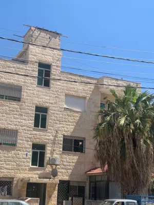 شقه للبيع ابو نصير