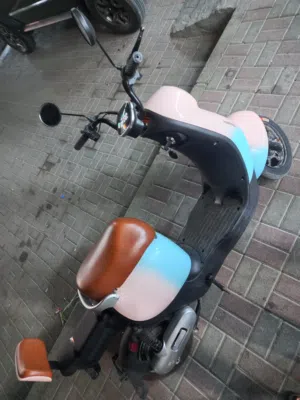 electric scooter size 14 inch battery 48 vold top speed 99 everything is good