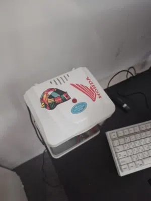 small fish tank with heater