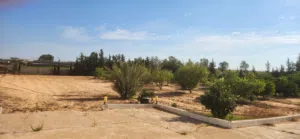 Farm Land for Sale in Tripoli Wadi Al-Rabi