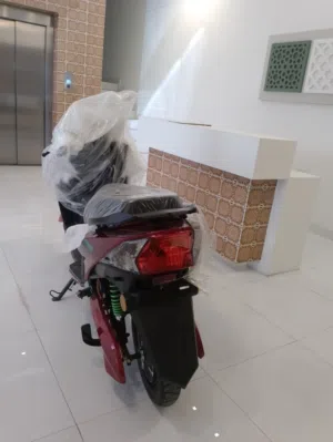 2025/2026 model Electric scooter