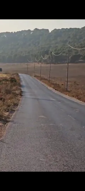 Residential . 200 donum . Agent1