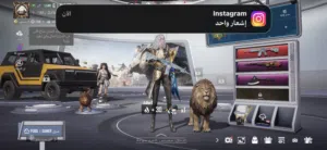 Pubg Accounts and Characters for Sale in Amman