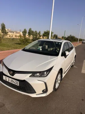 Used Toyota Corolla in Basra