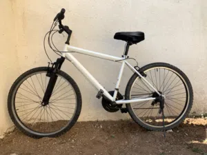 دواجة هوائيه يابانية