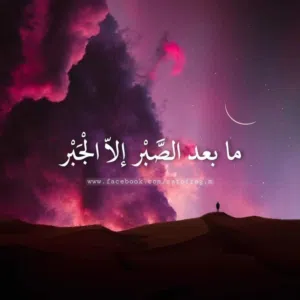 محمد محمد