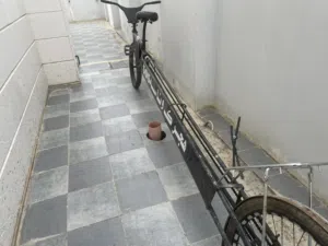 سيكل طويل ممتاز مع حديدة تخميس الوصف مهم