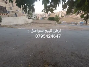 Mixed Use Land for Sale in Amman Adan