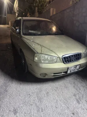 Used Hyundai Elantra in Zarqa