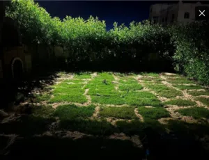 شاليه للبيع بقريه مصر الجديدة (عايده )