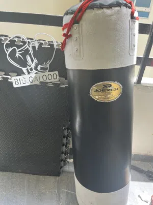 Boxing bag (Jorex)