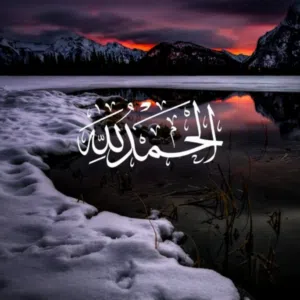 محمد محمد 