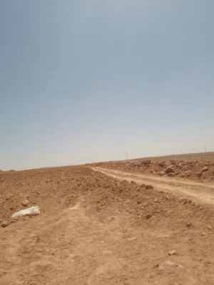 Farm Land for Sale in Mafraq Al-Khalidya