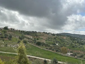 Farm Land for Sale in Zarqa Sarout