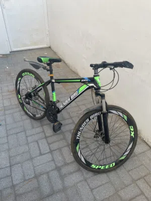 Bicycle for sale