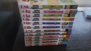 كتب مانغا هنتر هنتر