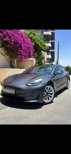 Used Tesla Model 3 in Amman