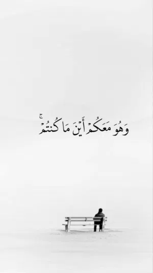 ضياء احمد
