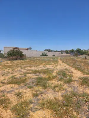 1400متر للبيع عين زارة فاطمة الزهراء